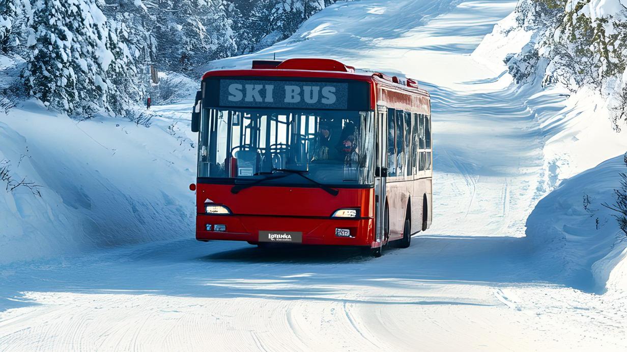 Skibusy kursują do 8 marca - wygodny dojazd na stok