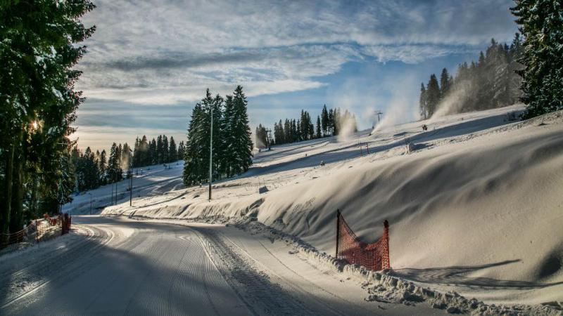 Трассы для беговых лыж
